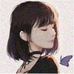 读者纸鸢的头像